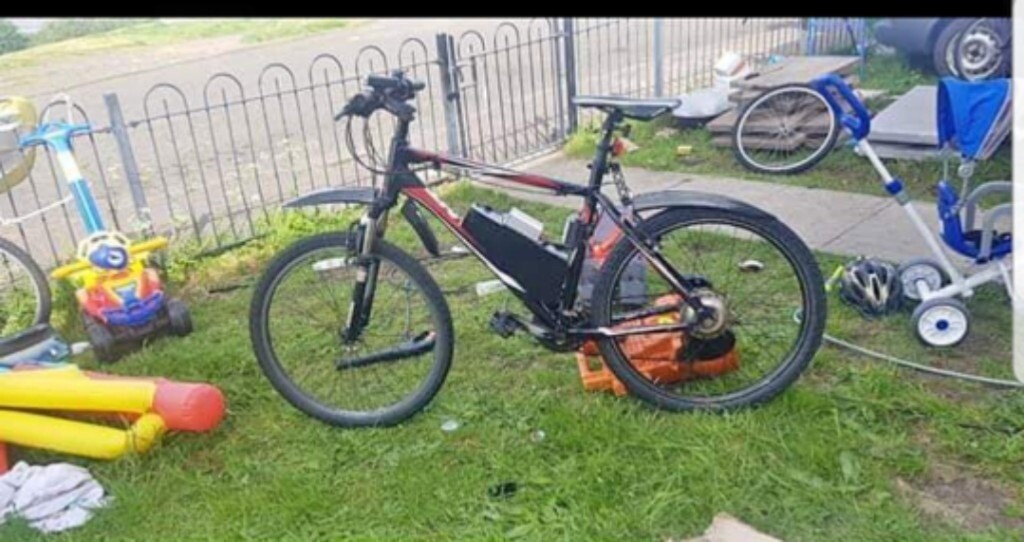 giant quick e for sale